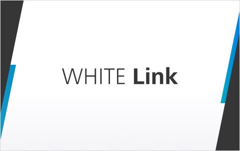 SEOコンサルティングサービス WHITE Link